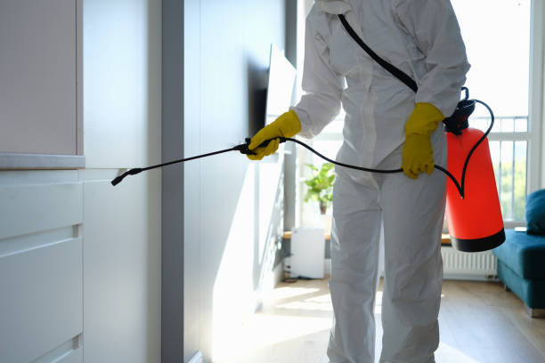 Best Industrial Mold Remediation in Graceville, FL